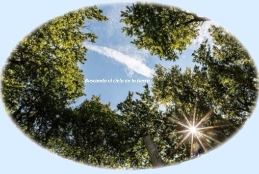 Buscando el cielo en la tierra